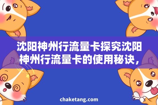 沈阳神州行流量卡探究沈阳神州行流量卡的使用秘诀，充值攻略全解析