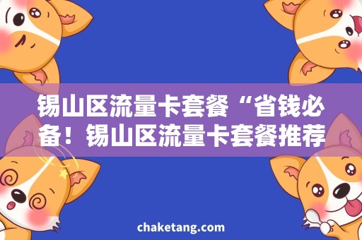 锡山区流量卡套餐“省钱必备！锡山区流量卡套餐推荐指南”