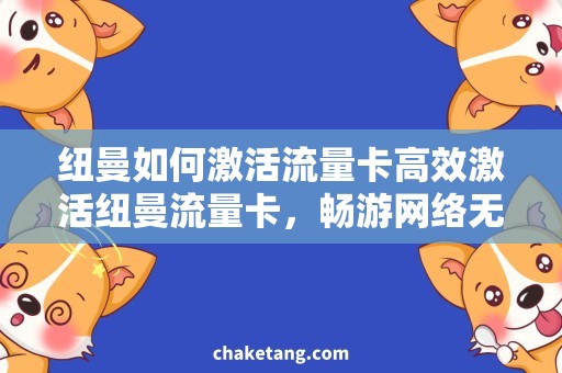 纽曼如何激活流量卡高效激活纽曼流量卡，畅游网络无限制