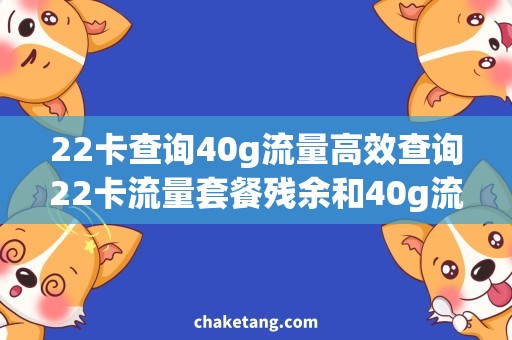 22卡查询40g流量高效查询22卡流量套餐残余和40g流量使用情况