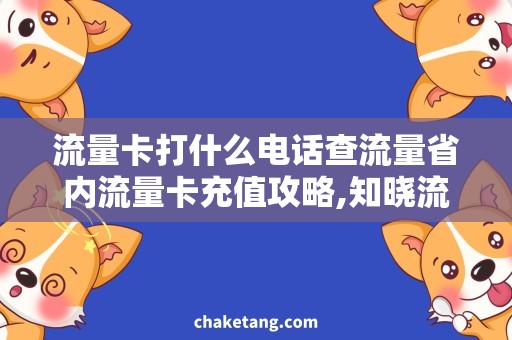 流量卡打什么电话查流量省内流量卡充值攻略,知晓流量查询方式！