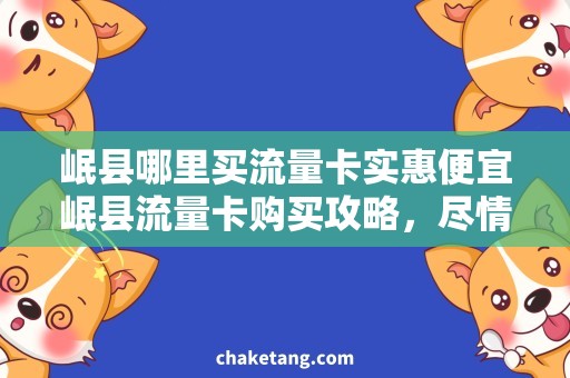 岷县哪里买流量卡实惠便宜岷县流量卡购买攻略，尽情畅游网络世界！