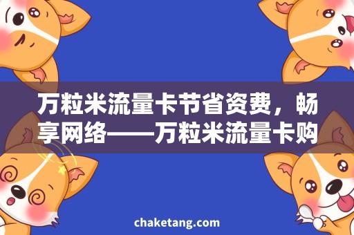 万粒米流量卡节省资费，畅享网络——万粒米流量卡购买攻略