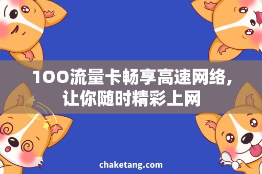 1OO流量卡畅享高速网络,让你随时精彩上网