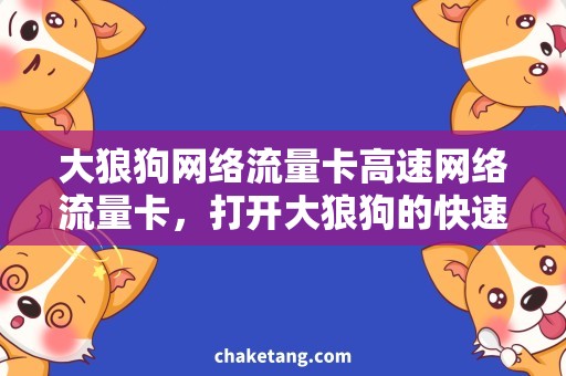 大狼狗网络流量卡高速网络流量卡，打开大狼狗的快速通道！
