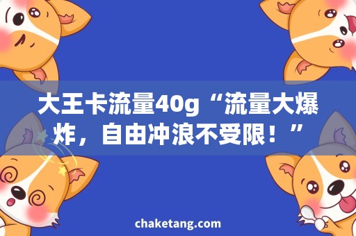 大王卡流量40g“流量大爆炸，自由冲浪不受限！”