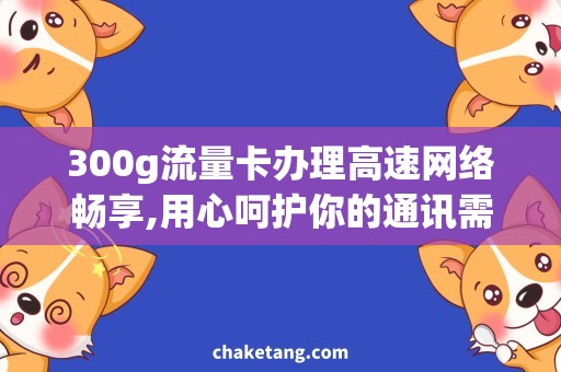 300g流量卡办理高速网络畅享,用心呵护你的通讯需求