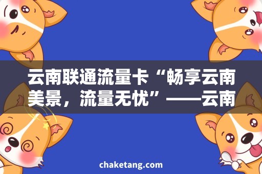 云南联通流量卡“畅享云南美景，流量无忧”——云南联通流量卡需求分析