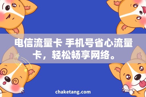 电信流量卡 手机号省心流量卡，轻松畅享网络。
