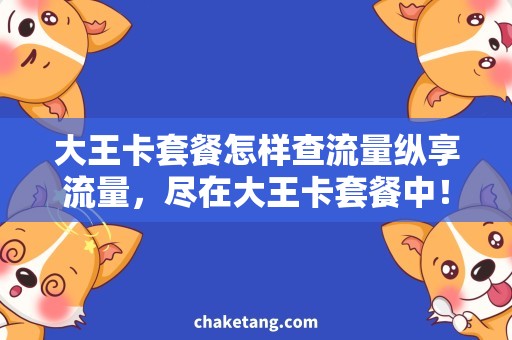大王卡套餐怎样查流量纵享流量，尽在大王卡套餐中！