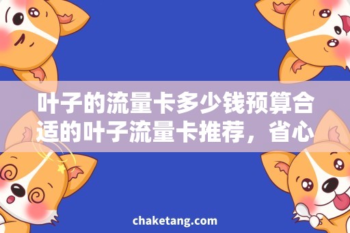 叶子的流量卡多少钱预算合适的叶子流量卡推荐，省心省钱！