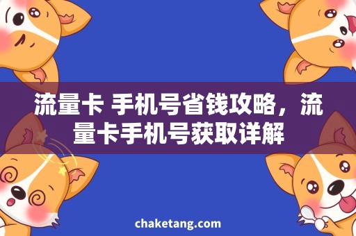流量卡 手机号省钱攻略，流量卡手机号获取详解