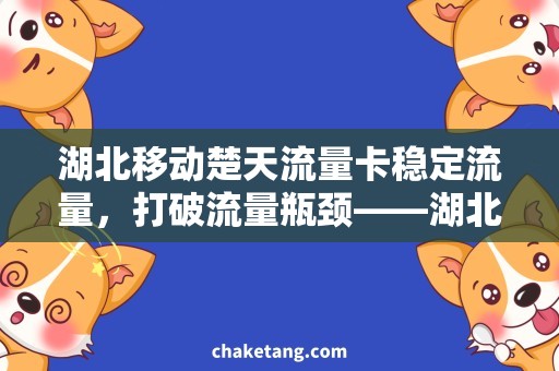 湖北移动楚天流量卡稳定流量，打破流量瓶颈——湖北移动楚天流量卡详解