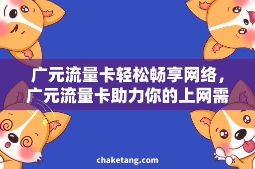 广元流量卡轻松畅享网络，广元流量卡助力你的上网需求