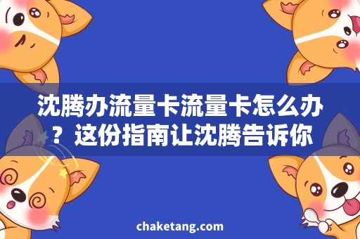 沈腾办流量卡流量卡怎么办？这份指南让沈腾告诉你