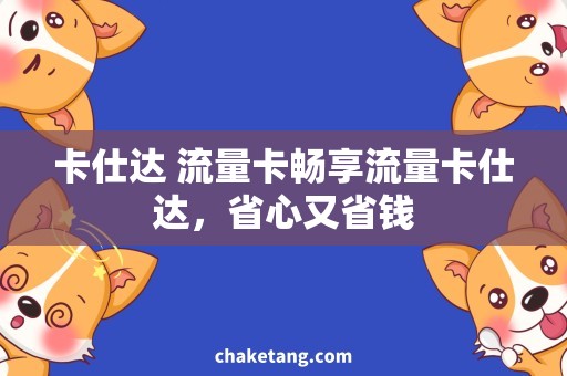 卡仕达 流量卡畅享流量卡仕达，省心又省钱