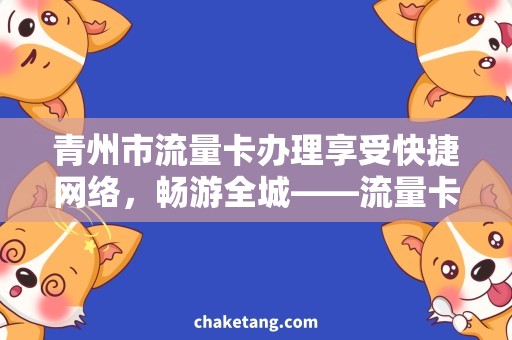 青州市流量卡办理享受快捷网络，畅游全城——流量卡办理攻略