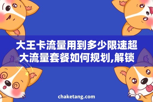 大王卡流量用到多少限速超大流量套餐如何规划,解锁无限畅享高速网络
