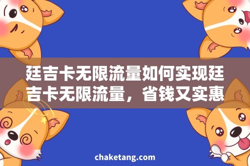 廷吉卡无限流量如何实现廷吉卡无限流量，省钱又实惠！