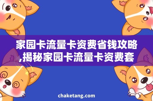 家园卡流量卡资费省钱攻略,揭秘家园卡流量卡资费套路