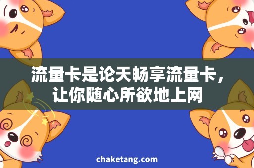 流量卡是论天畅享流量卡，让你随心所欲地上网