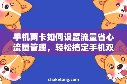 手机两卡如何设置流量省心流量管理，轻松搞定手机双卡设置