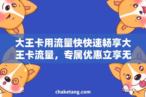 大王卡用流量快快速畅享大王卡流量，专属优惠立享无限畅聊