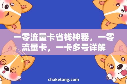 一零流量卡省钱神器，一零流量卡，一卡多号详解