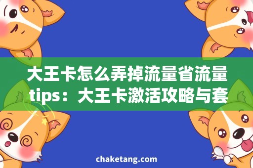 大王卡怎么弄掉流量省流量 tips：大王卡激活攻略与套餐选购