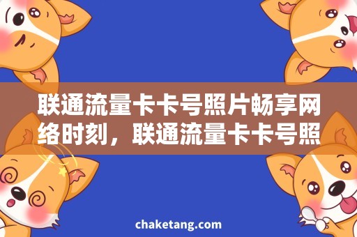 联通流量卡卡号照片畅享网络时刻，联通流量卡卡号照片办理攻略