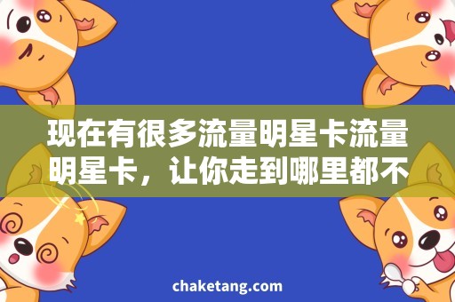 现在有很多流量明星卡流量明星卡，让你走到哪里都不会错过！