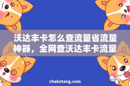 沃达丰卡怎么查流量省流量神器，全网查沃达丰卡流量用量
