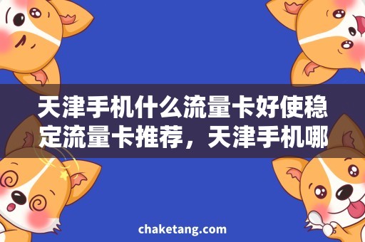 天津手机什么流量卡好使稳定流量卡推荐，天津手机哪款更划算？
