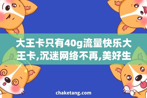 大王卡只有40g流量快乐大王卡,沉迷网络不再,美好生活陪伴您