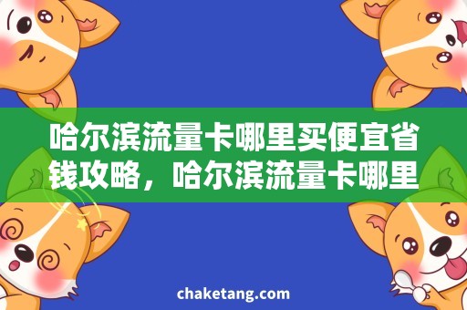 哈尔滨流量卡哪里买便宜省钱攻略，哈尔滨流量卡哪里购买更划算