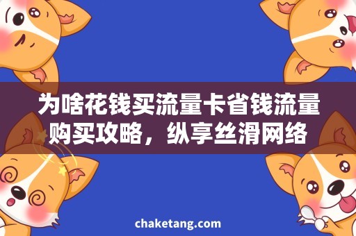 为啥花钱买流量卡省钱流量购买攻略，纵享丝滑网络