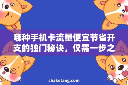 哪种手机卡流量便宜节省开支的独门秘诀，仅需一步之遥！