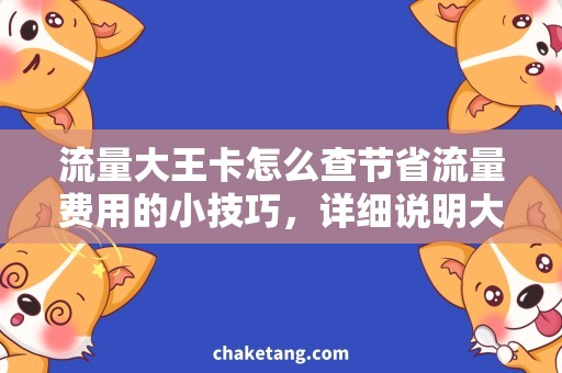 流量大王卡怎么查节省流量费用的小技巧，详细说明大王卡流量查询方法
