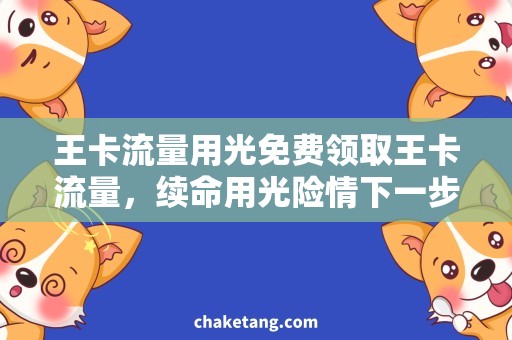 王卡流量用光免费领取王卡流量，续命用光险情下一步怎么办？