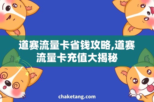 道赛流量卡省钱攻略,道赛流量卡充值大揭秘