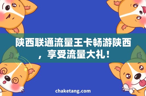 陕西联通流量王卡畅游陕西，享受流量大礼！