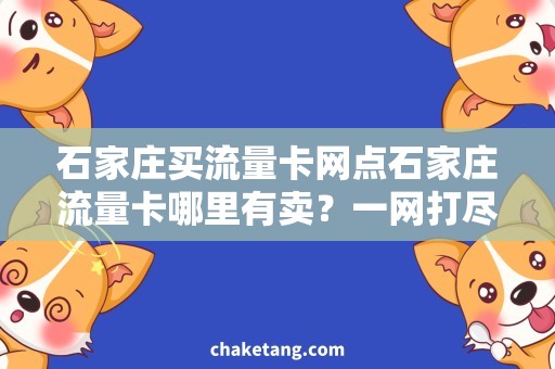 石家庄买流量卡网点石家庄流量卡哪里有卖？一网打尽网络流量购买指南！