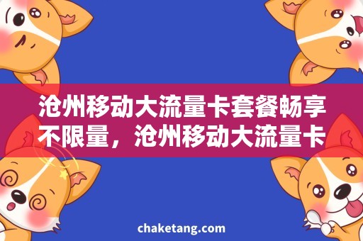 沧州移动大流量卡套餐畅享不限量，沧州移动大流量卡套餐助你尽情冲浪