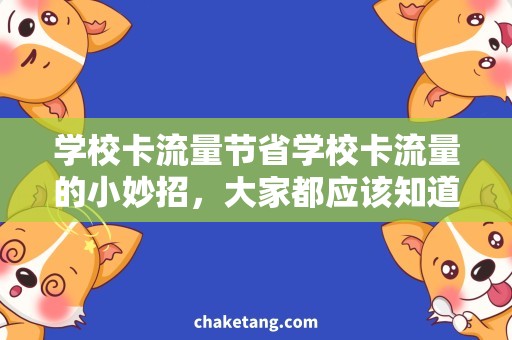 学校卡流量节省学校卡流量的小妙招，大家都应该知道
