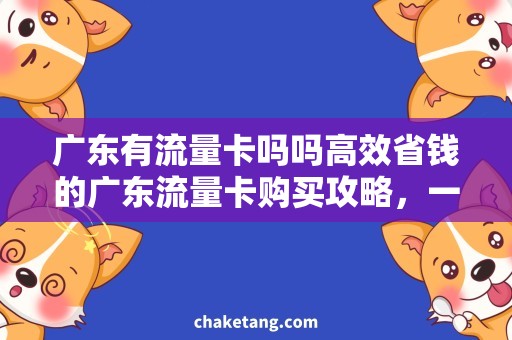 广东有流量卡吗吗高效省钱的广东流量卡购买攻略，一网打尽