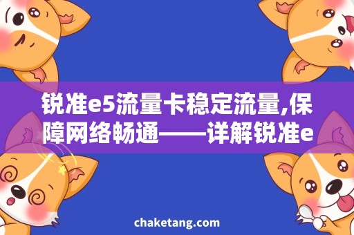 锐准e5流量卡稳定流量,保障网络畅通——详解锐准e5流量卡