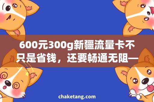 600元300g新疆流量卡不只是省钱，还要畅通无阻——新疆流量卡购买攻略