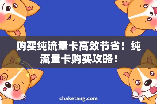 购买纯流量卡高效节省！纯流量卡购买攻略！