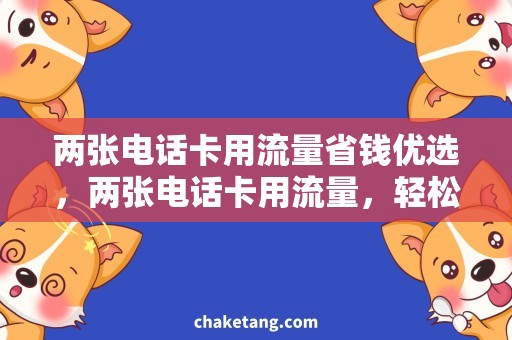 两张电话卡用流量省钱优选，两张电话卡用流量，轻松解决局限性