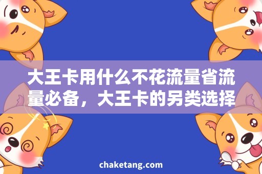大王卡用什么不花流量省流量必备，大王卡的另类选择